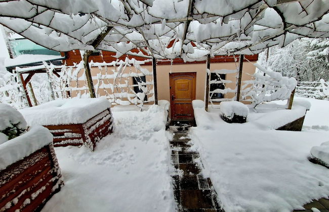 Vineyard cottage Matej - Foto 35