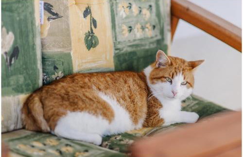 Gästehaus Niedermeierhof - Foto 26