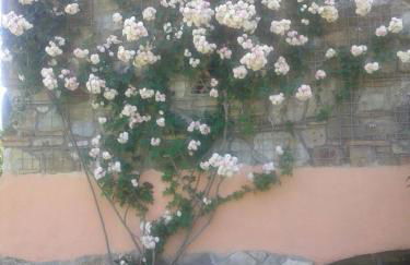 Podere Stollo - Foto 60