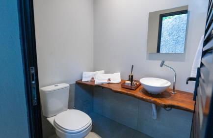 Jahu Center House - Photo 57