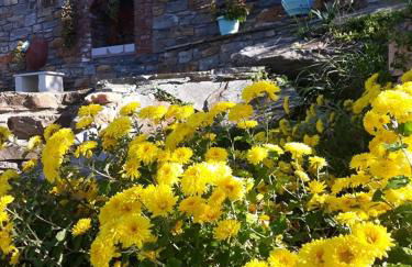 Violetta Studios & Apartments - Foto 54