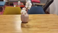 K02 Apartment between Cologne & Bonn - Foto 5