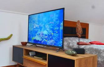 Lazy Lizard Studio - Foto 53