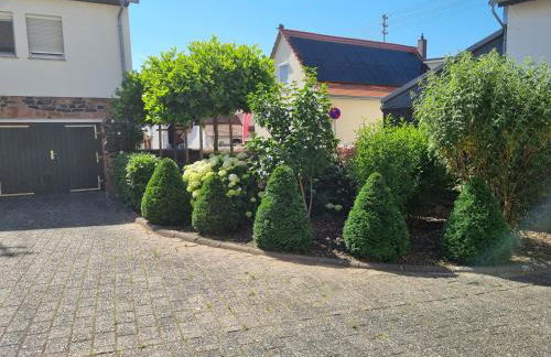 Gästehaus Iwwerdorfer Hof - Photo 9