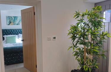 Rural Escape and Dog Friendly - Photo 16