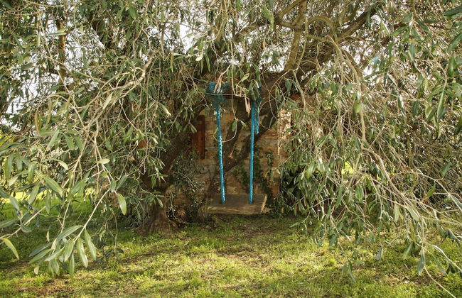 Casale Vigna Carbona - Foto 58