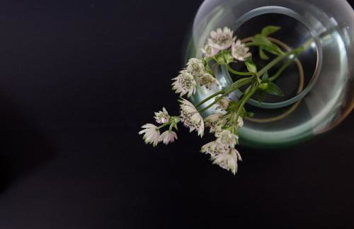 August The Boardinghouse - Foto 24