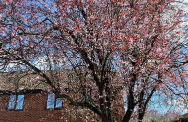 Private Maisonette Chandlers Ford - Foto 13