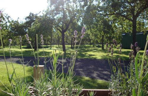 Orchard Farm Luxury Glamping and Campsite - Photo 25