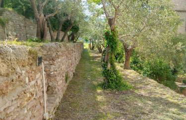 Residenza Messer Pajola - Photo 21