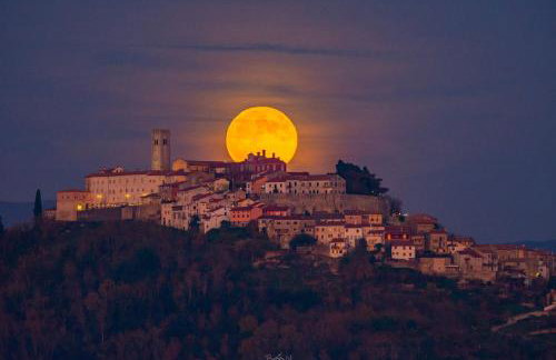 Villa Fiore Spinovci - Foto 2