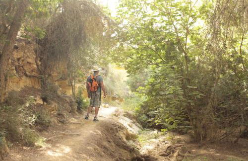 Villa KIP, private pool & jacuzzi surrounded by nature - Foto 29