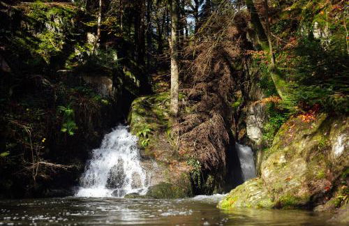 Cwtch Ffynnone Luxury Shepherds Hut - Foto 30