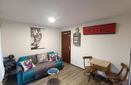 Chez Lilie, Studio cosy classé 2 étoiles Plage de Stella - Foto 6