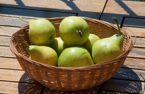 Villa Vigla - Foto 29