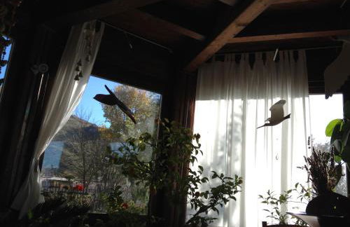 Azienda Agricola Il Querceto - Foto 46