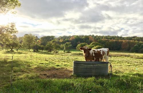 Spooner House - Photo 22