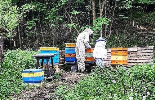 Smrek Sokolec Agroturystyka - Foto 21