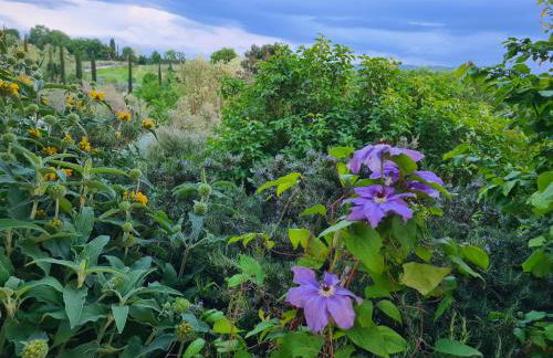 Casa Colonica - Photo 34