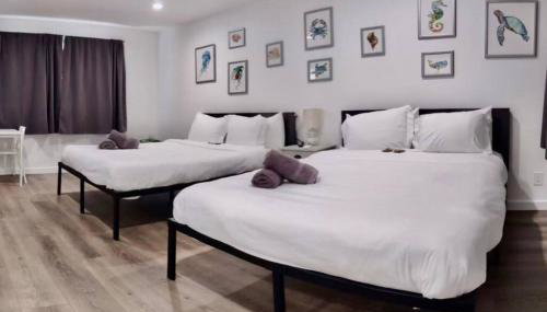 Charming DBL W pool and parking 15 min to FLL and Beach - Foto 4