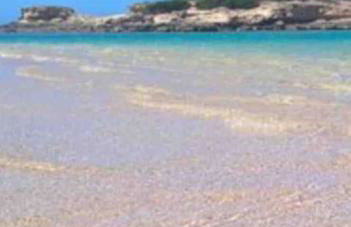 Mare e Montagna - Foto 36