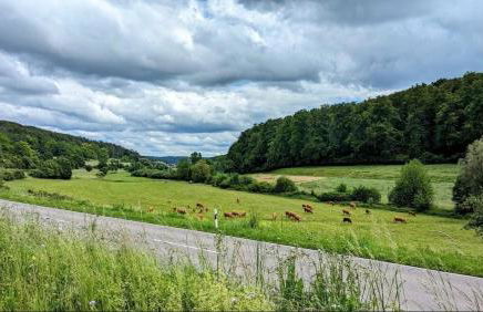 Casa da Peppe Schöne Auszeit im Schwarzwald - Foto 31