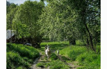 Kozy i Róże - Foto 21