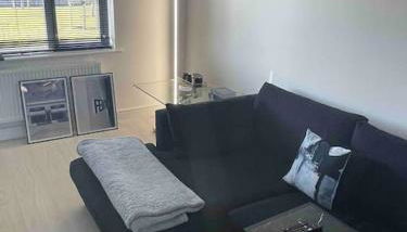 Modern 2 Bedroom House, Edinburgh. - Photo 3