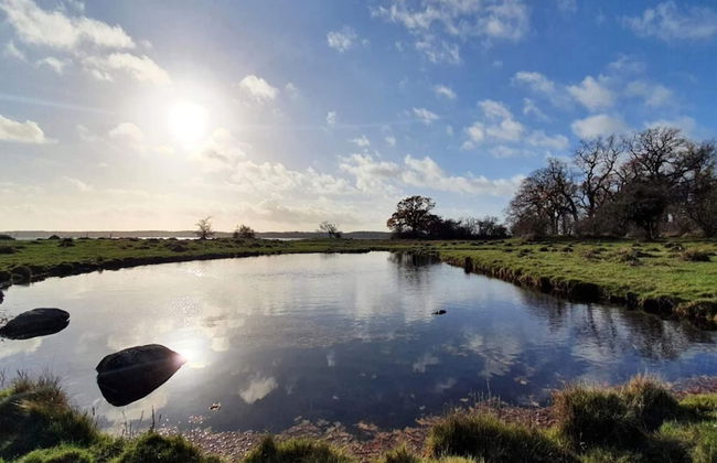 6 Person Holiday Home in Kettinge - Foto 43