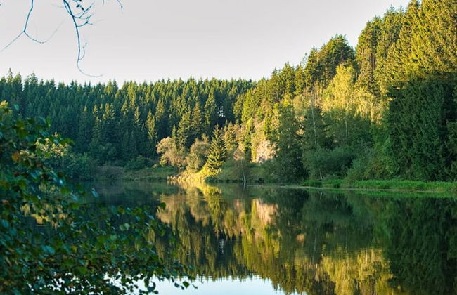 The House to Stay in Hasselfelde - Foto 18