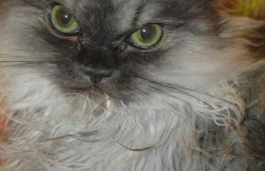 Casa da Alzira - Foto 61