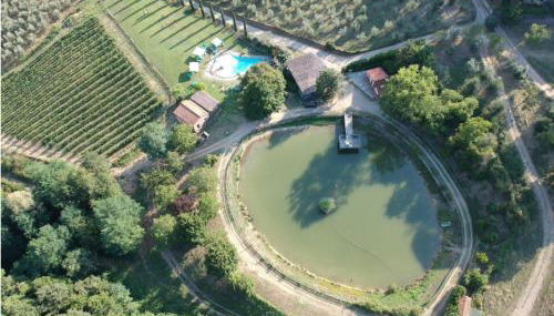 Agriturismo Fattoria Celle - Foto 3