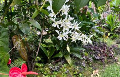 Island Away Chersonisos - Foto 22