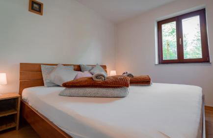 Planinski Raj House with 2 Apartments for 10 Guests - Foto 34