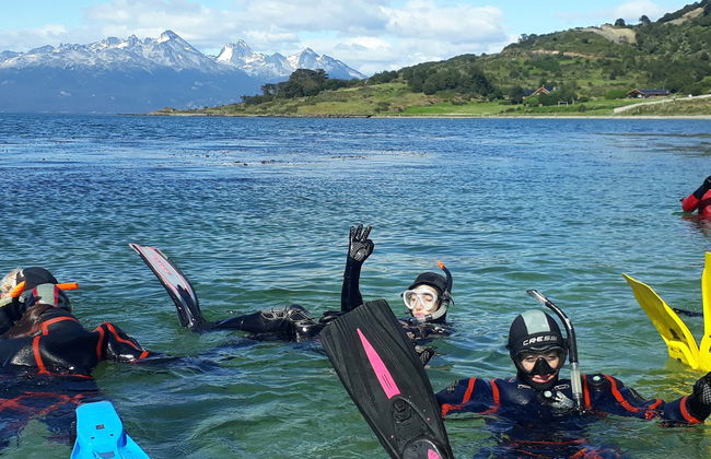 Snorkelling in the Beagle Channel - Photo 1