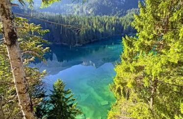 NEW ENTRY - Nuova villa nel verde - Foto 31