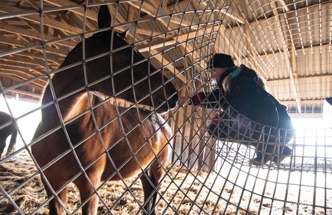 Bernsteinland Hirschburg - Photo 63