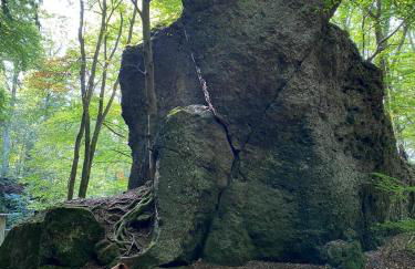 Ferienhaus Waldblick - Photo 60