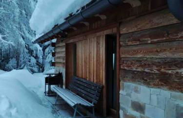 LA VOCE DEL BOSCO Selva di Cadore - Foto 12