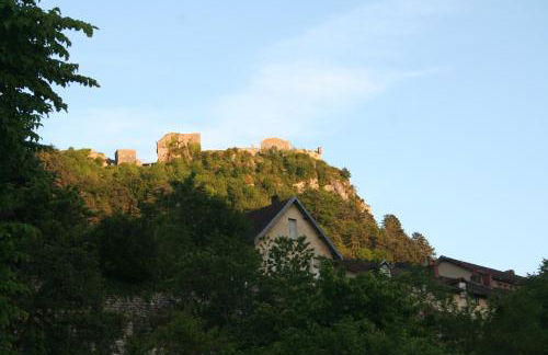 L'Aristoloche - Foto 23