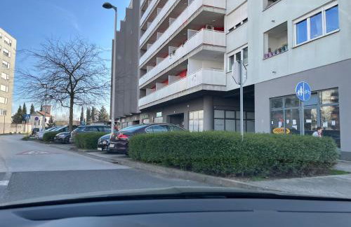 Daydream Arena Studio - Foto 13