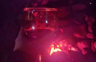 Chalé Rústico com Vista nas Montanhas Mantiqueira - Foto 7