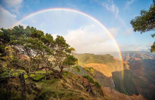 Waipouli Beach Resort H305 - Foto 29