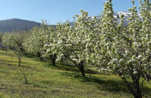 Arodamos Guesthouse - Foto 36