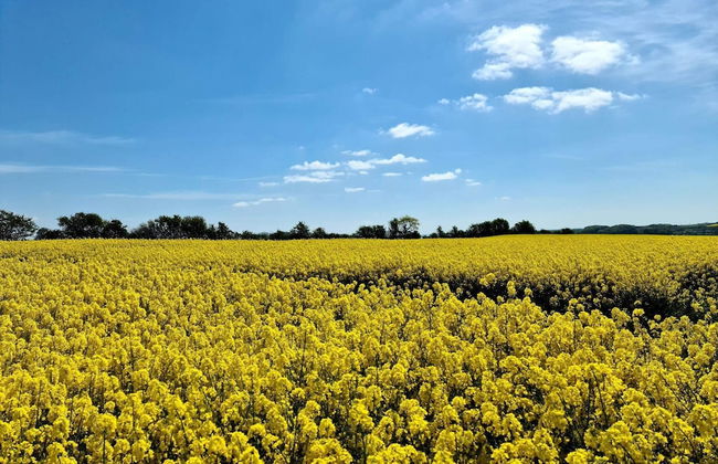 Spacious Cottage Retreat in Sonderborg-by Traum - Photo 9