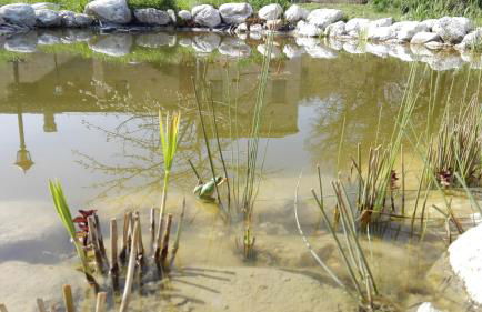 Antica Dimora - Foto 6