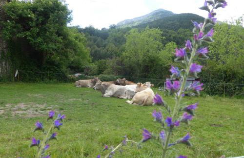 Casa Santafe CR-HU-1271 - Photo 10