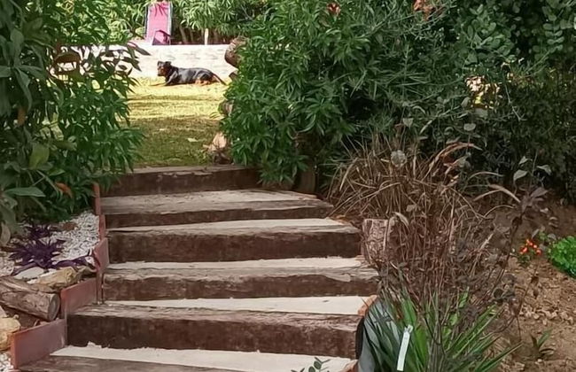 TOTTAM EXPERIENCE - Foto 65