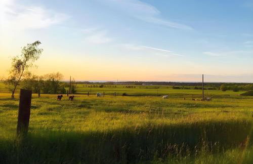 Ferienhaus Wichmannsdorf - Foto 30