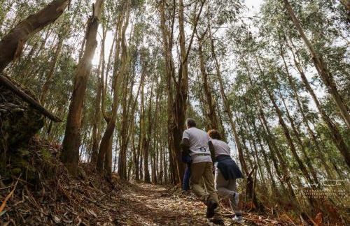 Azenha da Lavoura em Barrega - Foto 77